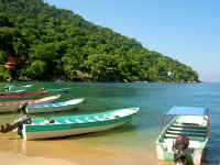 puerto vallarta boat trips from boca de tomatlan