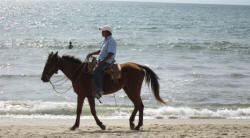 bucerias in nayarit