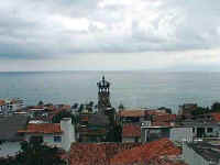 cathedral of our lady of guadalupe downtown and banderas bay