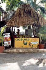 burros beachfront restaurant bar on Los Muertos