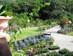 puerto vallarta nature with eco-tours at the gardens