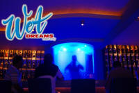 top gay strip bars mexico at wet dreams