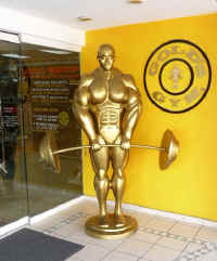 Gold's gym in the vallarta Plaza Las Glorias - now Closed