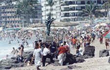 vallarta symbol the seahorse - los muertos beach