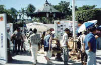 main downtown puerto vallarta plaza during some festivities