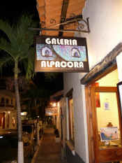 puerto vallarta art walk at Galeria Alpacora