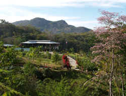the PuertoVallarta botanical gardens overview photo