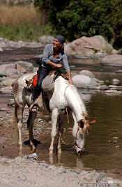 attractions horseback riding - picture thanks to Rancho el Charro