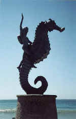 Puerto Vallarta symbol the seahorse statue - there's one on the malecon downtown, another on Los Muertos beach