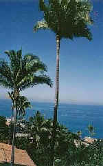 lovely views of Banderas Bay from villa master suite