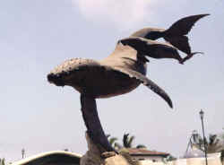 whale sculptures puerto vallarta